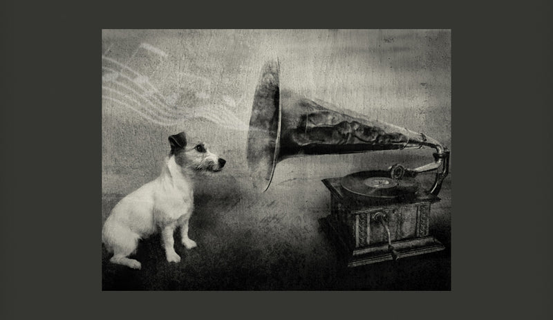 Fotomurale - Dog'S Melodies 200X154 cm Carta da Parato Erroi-2