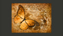 Fotomurale - Butterfly Sepia 200X154 cm Carta da Parato Erroi-2