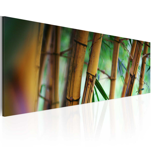 Quadro - Wild Bamboos Erroi prezzo