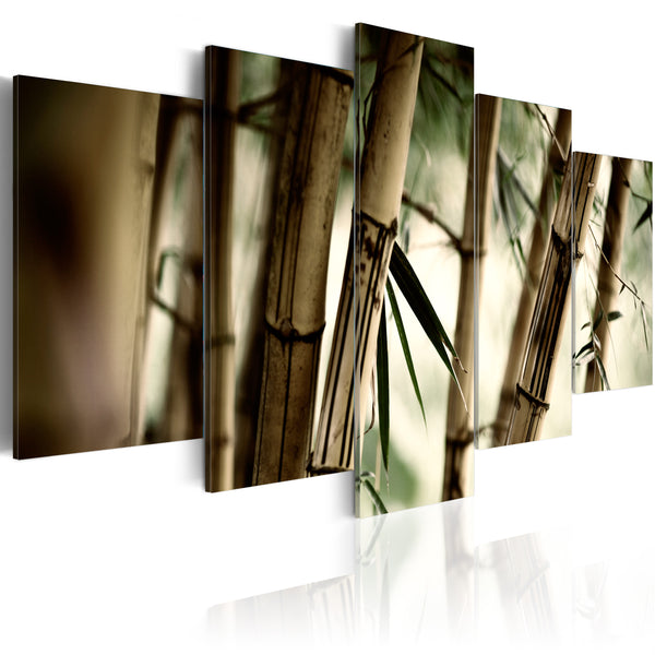 Quadro - Foresta Di Bambu' Asiatica Erroi sconto