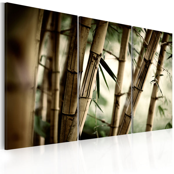 sconto Quadro - Nella Foresta Tropicale Erroi