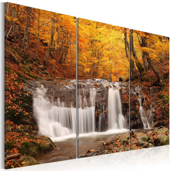 acquista Quadro - Cascata Tra Gli Alberi Autunnali Erroi