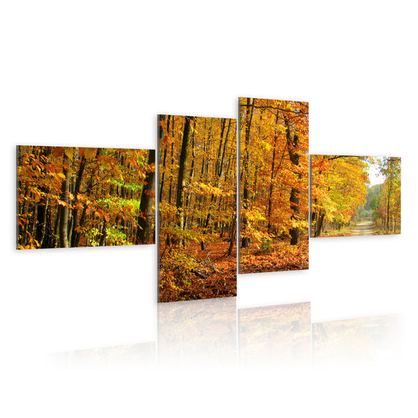 Quadro - Vialetto Autunnale Assolato Erroi sconto