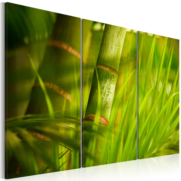 sconto Quadro - Verde Intenso Delle Erbe Tropicali Erroi