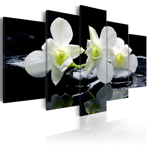 Quadro - Orchidee Malinconici Erroi prezzo