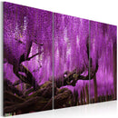 Quadro - Wisteria 60X40Cm Erroi-1