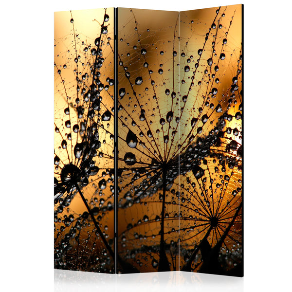 Paravento 3 Pannelli - Dandelions In The Rain 135x172cm Erroi sconto