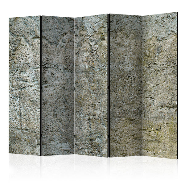 Paravento 5 Pannelli - Stony Barriere II 225x172cm Erroi sconto