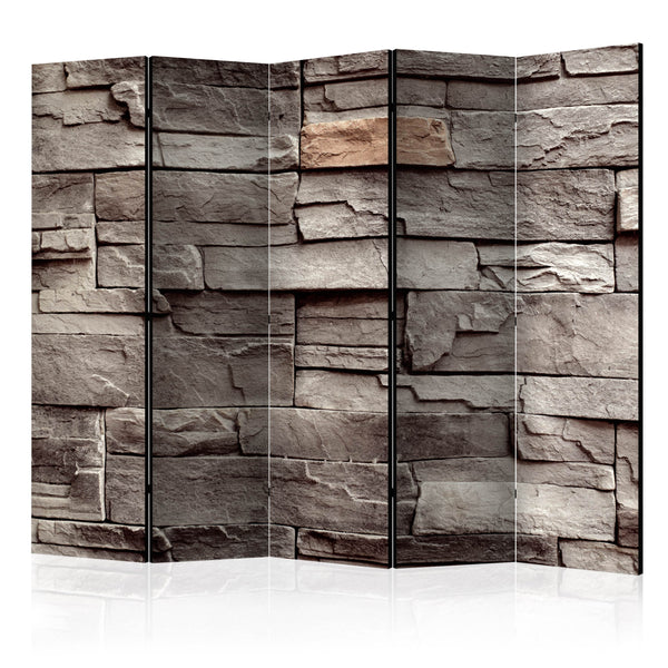 Paravento 5 Pannelli - Wall Of Silence II 225x172cm Erroi prezzo