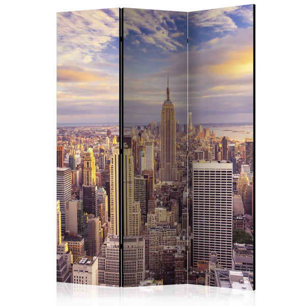 acquista Paravento 3 Pannelli - New York Morning 135x172cm Erroi