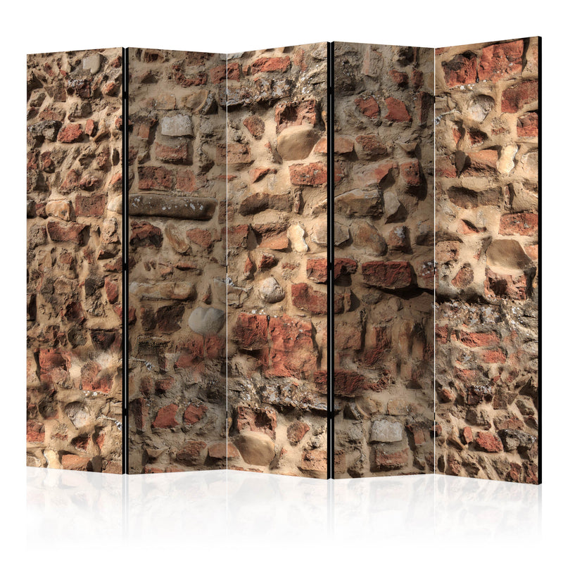 Paravento 5 Pannelli - Ancient Wall II 225x172cm Erroi-1