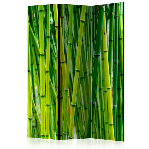 acquista Paravento 3 Pannelli - Bamboo Forest 135x172cm Erroi