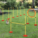 Set Addestramento per Cani con Paletti e Anello  Agility Dog-2