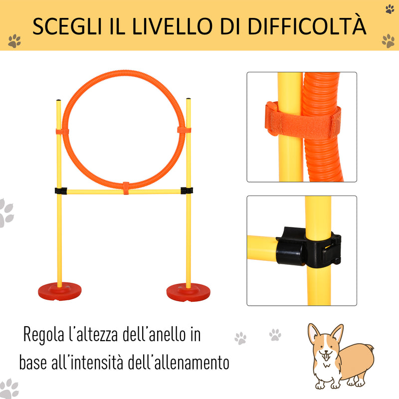 Set Addestramento per Cani con Paletti e Anello  Agility Dog-6