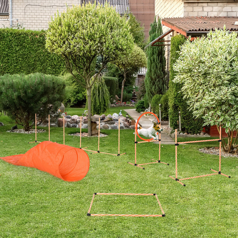 Set 5 traversine per cani 60x50 cm Setablu assorbenti multistrato –  acquista su Giordano Shop