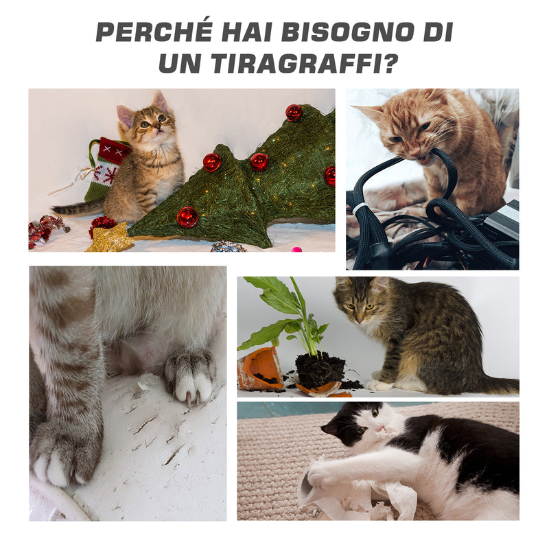 GIOCO CON PUPAZZO TOPO PALESTRA PER GATTO GATTI UNGHIE TIRAGRAFFI BASE CON  MOLLE