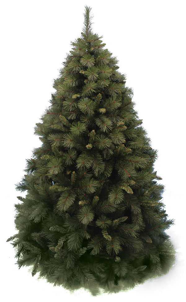 acquista Albero Di Natale Palmalux Verde