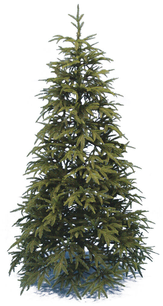 Albero Di Natale Pino Very Tree Verde sconto