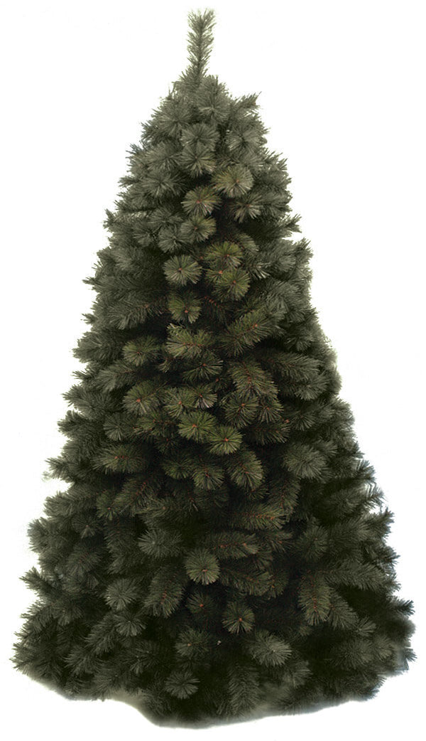 Albero Di Natale Real Pino Verde acquista