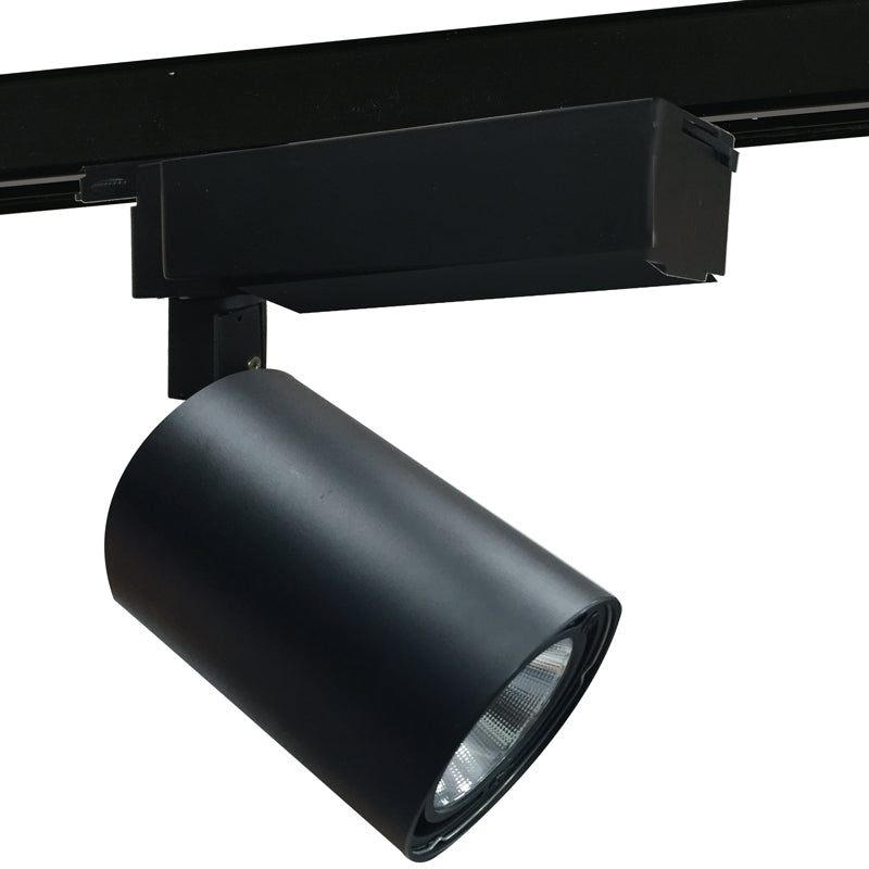 Binaro Alluminio Pressofuso Nero Satinato Faretto Led 30 watt Luce Naturale Intec LED-EAGLE-B-30WM-2