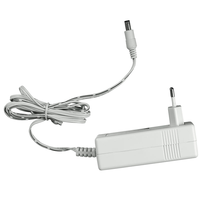 Driver Bianco per Faretto Incasso 6 watt Intec LED-STARLIGHT-DR-1