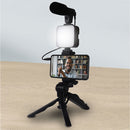 Set per Video Live Microfono Mini Treppiedi e Luce con Telecomando-5