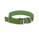 Collare per Cani Phoenix con Fibbia regolabile Razza Piccola in Nylon Regolabile Verde-1