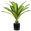 Pianta Artificiale Dracaena H60 cm con Vaso Verde-1