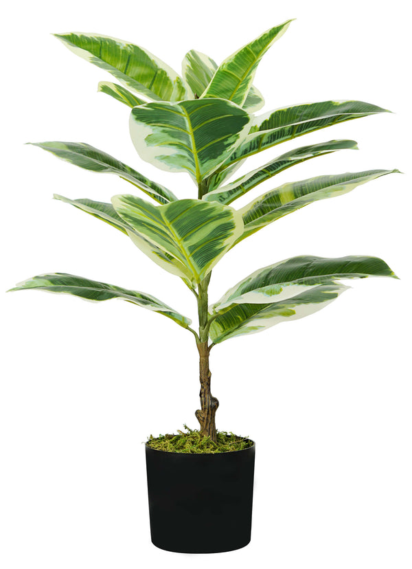 Pianta Artificiale Ficus Elastica H65 cm con Vaso Verde sconto