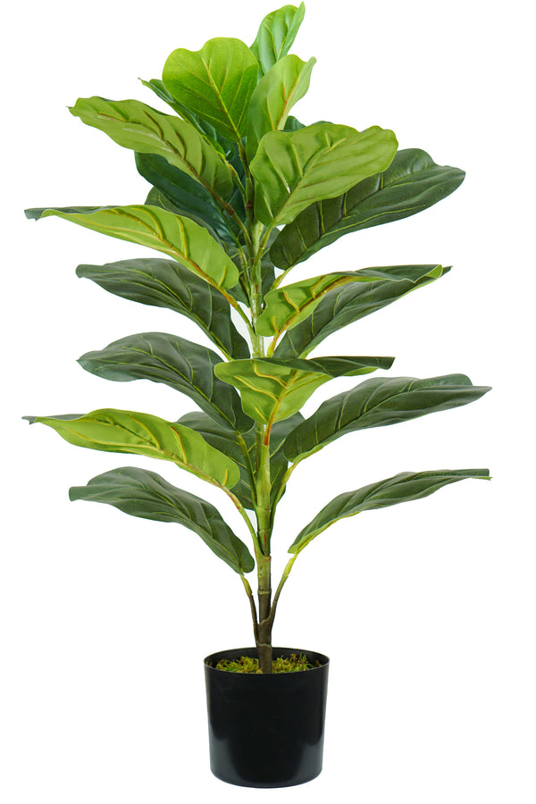 Pianta Artificiale Ficus Lyrata  H75 cm con Vaso Verde-1