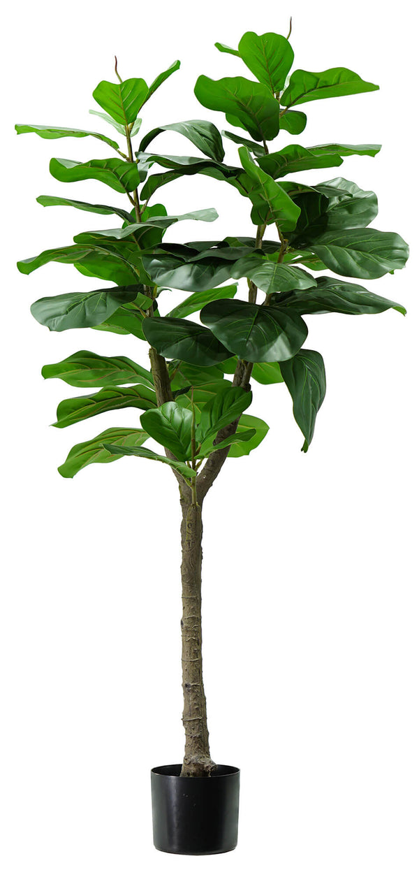 Pianta Artificiale Ficus Lyrata H130 cm con Vaso Verde-1