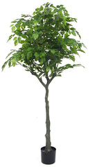 Pianta Artificiale H160 cm Ficus con Vaso Verde-1