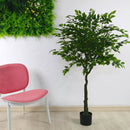 Pianta Artificiale H160 cm Ficus con Vaso Verde-2