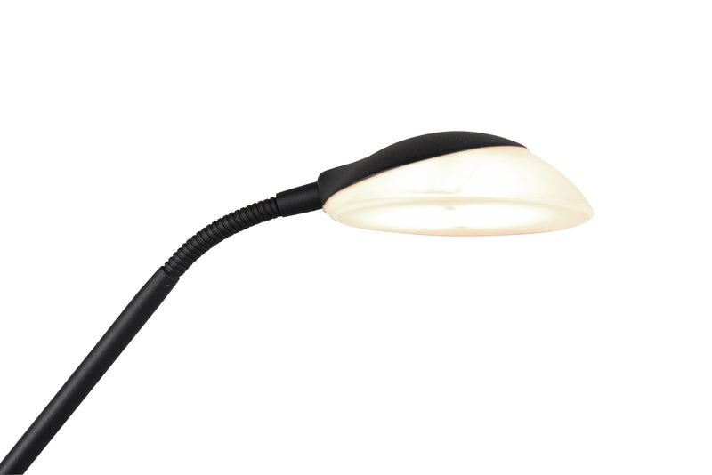 Piantana da Interno a LED in Metallo Nero Opaco-5