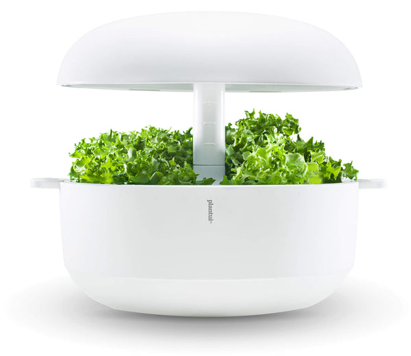 Sistema Idroponico a Led per Coltivazione Idroponica Plantui 6 Smart Garden Bianco prezzo