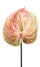 Set 6 Fiori Artificiali di Anthurium H 70 cm