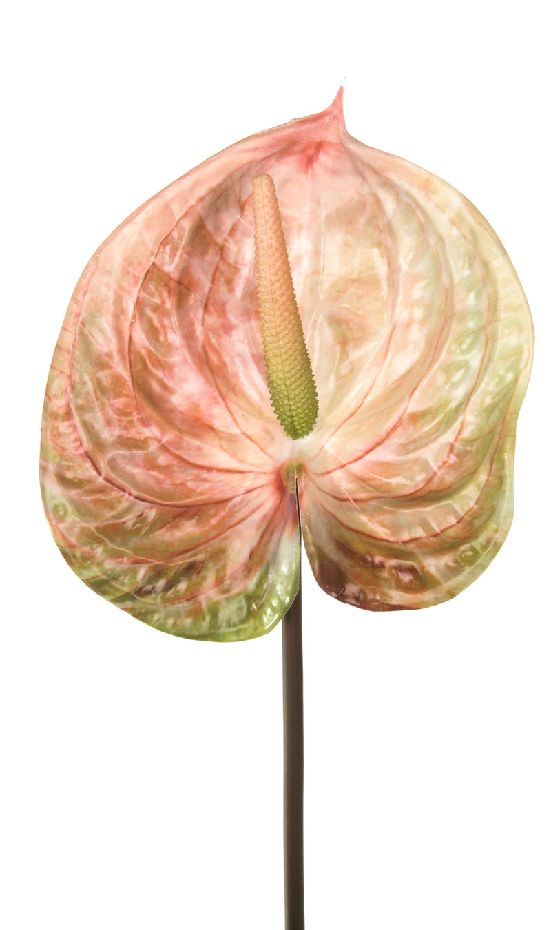 Set 6 Fiori Artificiali di Anthurium H 70 cm-1