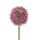 Set 6 Fiori Artificiali di Allium H 66 cm