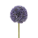 Set 6 Fiori Artificiali di Allium H 66 cm-1