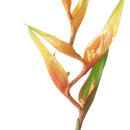 Set 3 Rami Artificiali Heliconia 83 cm-2