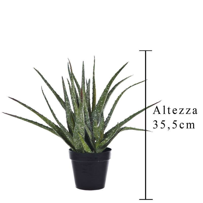 Pianta Artificiale Hawortia Aloe con Vaso H 355 cm-2