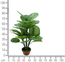 Pianta Artificiale Calathea in Vaso con 22 Foglie H 85 cm-3