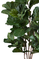 Pianta Artificiale Ficus Lyrata 220 cm 129 F con Vaso-2