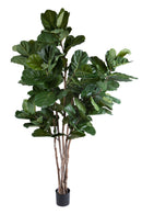 Pianta Artificiale Ficus Lyrata 220 cm 129 F con Vaso-1