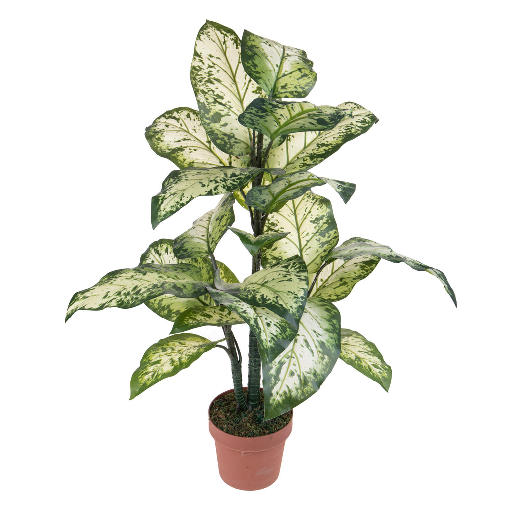 Pianta Artificiale Sanseveria Ø15x80 cm con Vaso Verde – acquista su  Giordano Shop