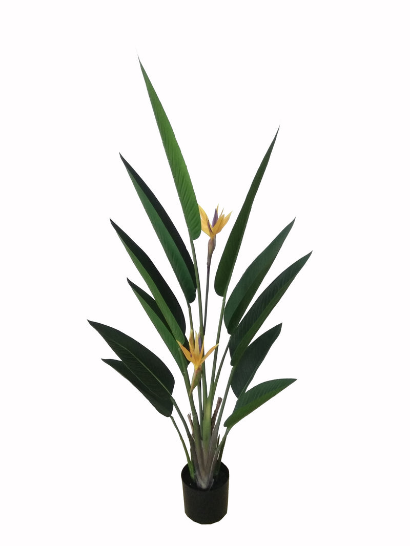 Pianta Artificiale Sanseveria Ø15x80 cm con Vaso Verde – acquista su  Giordano Shop