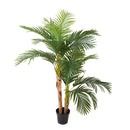 Pianta Artificiale Areca con Vaso H 165 cm-1