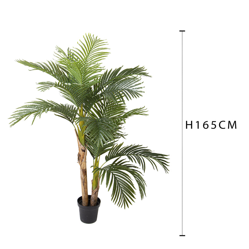 Pianta Artificiale Areca con Vaso H 165 cm-2