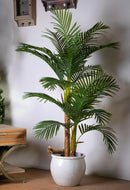 Pianta Artificiale Areca con Vaso H 165 cm-3