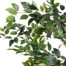 Pianta Artificiale Ficus con Vaso H 213 cm-3